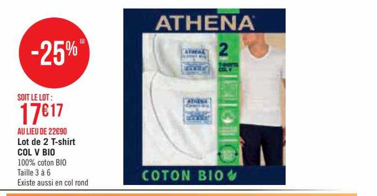 lot de 2 t-shirt col v bio
