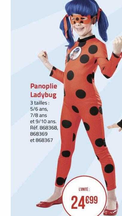 panoplie ladybug