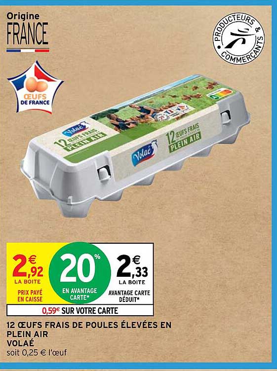 12 œufs frais de poules élevées en plein air volaé