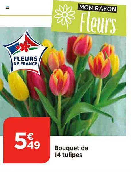 Bouquet De 14 Tulipes