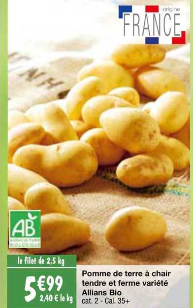 pomme de terre à chair tendre et ferme variété allians bio