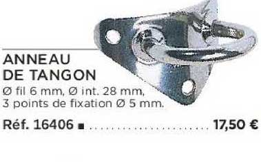 anneau de tangon