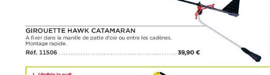 girouette hawk catamaran