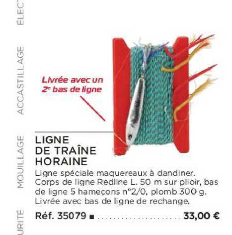 ligne de traîne horaine