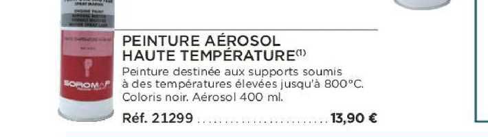 peinture aérosol haute température
