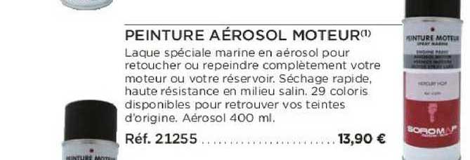 Peinture Aérosol Moteur