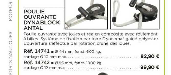 poulie ouvrante dynablock antal
