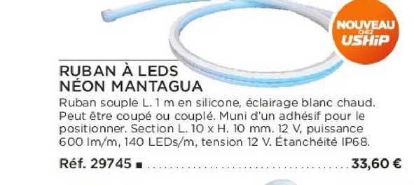 ruban à leds néon mantagua