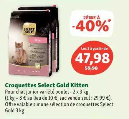 croquettes select gold kitten