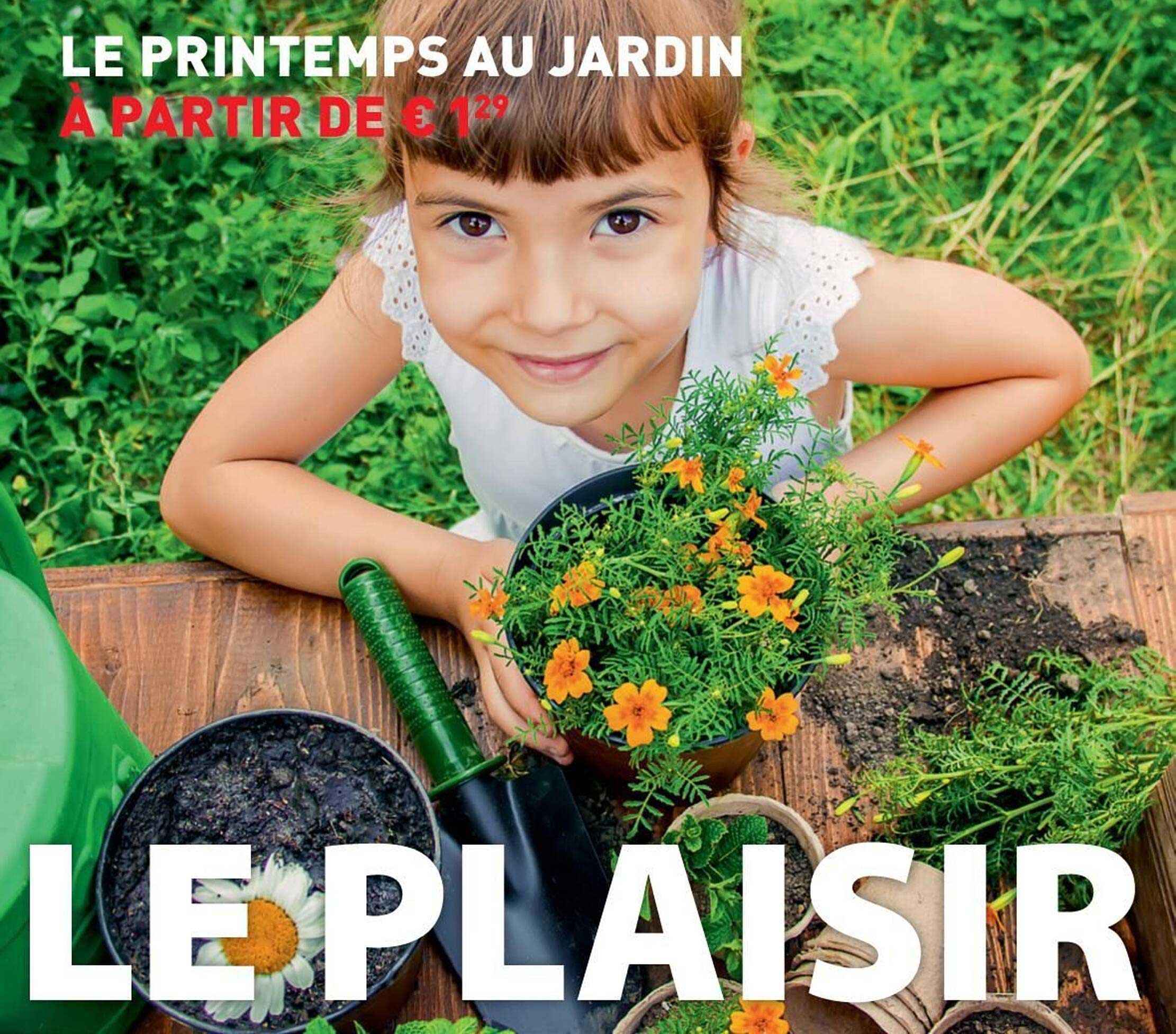 Le Printemps Au Jardin