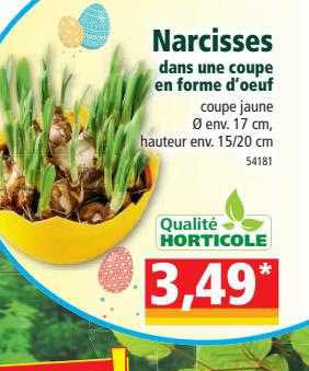 narcisses dans une coupe en forme d'oeuf