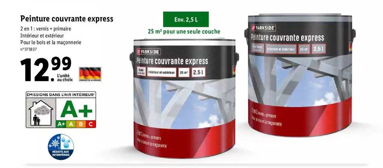 Peinture Couvrante Express Parkside
