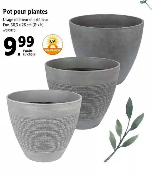 Pot Pour Plantes