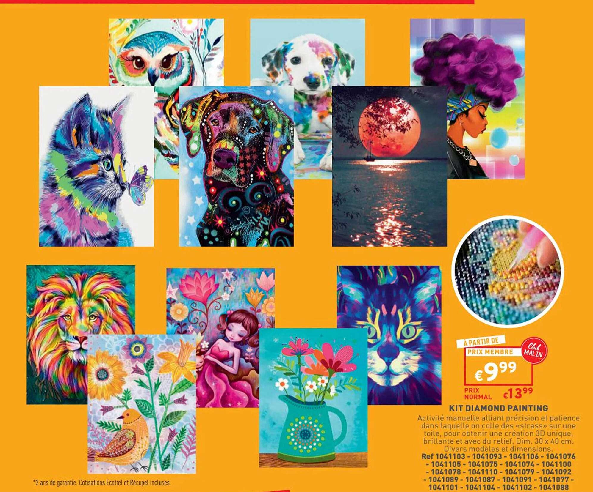 kit diamond painting