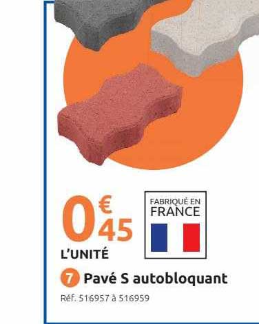 Pavé S Autobloquant
