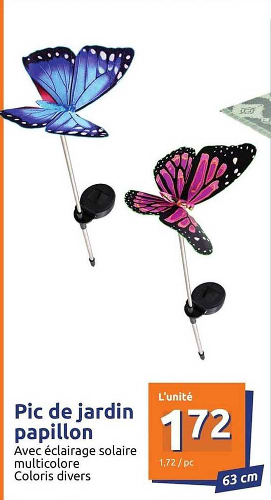 pic de jardin papillon