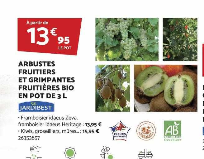arbustes fruitiers et grimpantes fruitières bio en pot de 3l jardibest