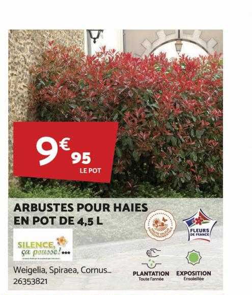 Arbustes Pour Haies En Pot De 4,5l