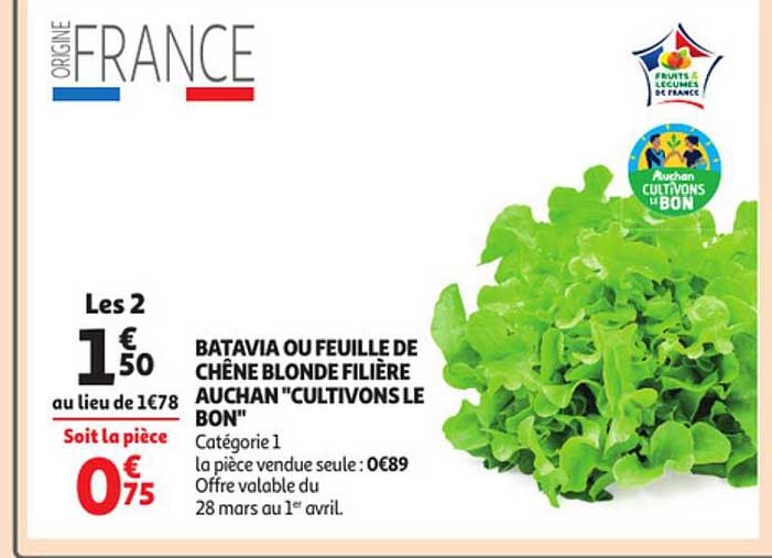 Batavia Ou Feuille De Chêne Blonde Filière Auchan "cultivons Le Bon"