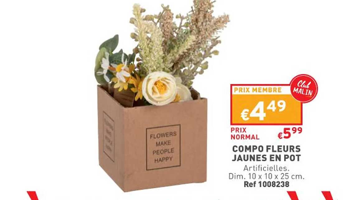 compo fleurs jaunes en pot