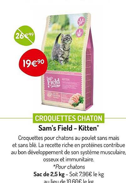 croquettes chaton sam's field - kitten