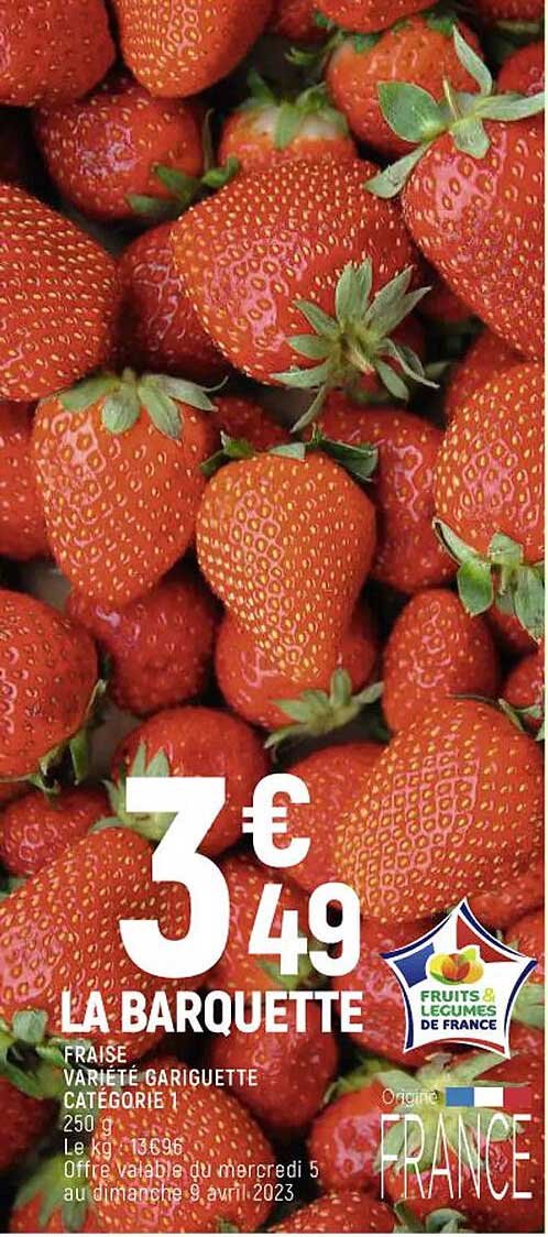 fraise variété gariguette