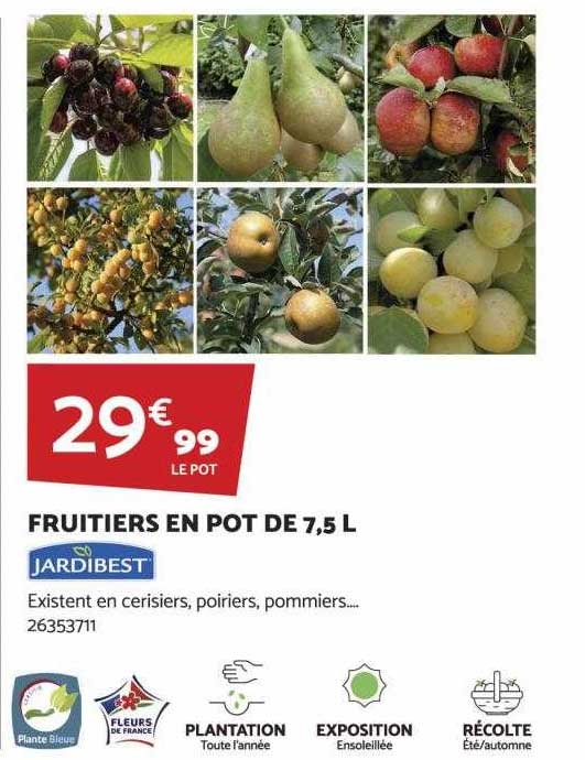 fruitiers en pot de 7,5l jardibest