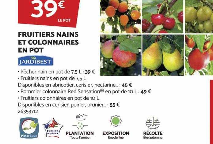 fruitiers nains et colonnaires en pot jardibest