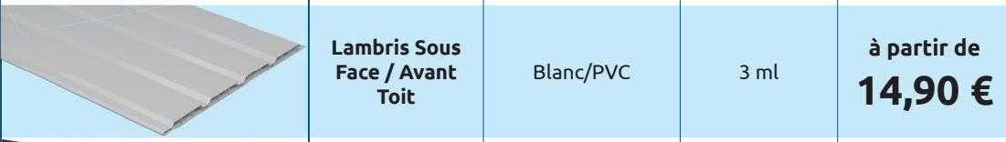 lambris sous face-avant toit