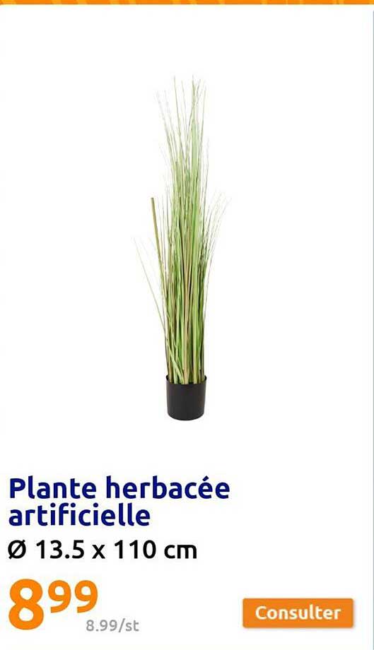 plante herbacée artificielle