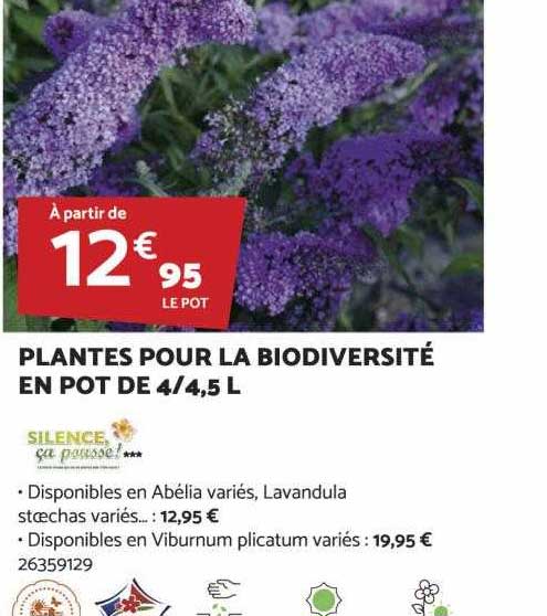 plantes pour la biodiversité en pot de 4-4,5l