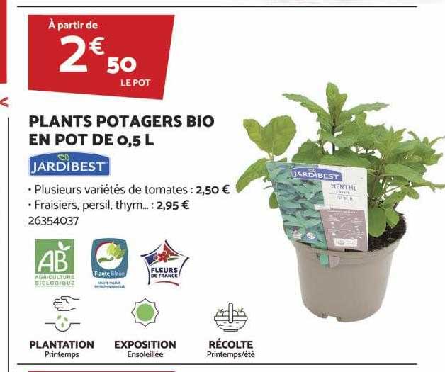 plants potagers bio en pot de 0,5l jardibest