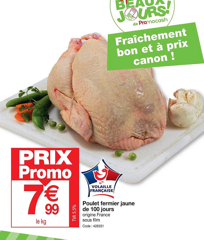 poulet fermier jaune de 100 jours