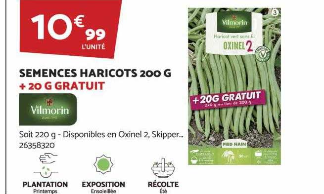 semences haricots 200 g + 20 g gratuits vilmorin