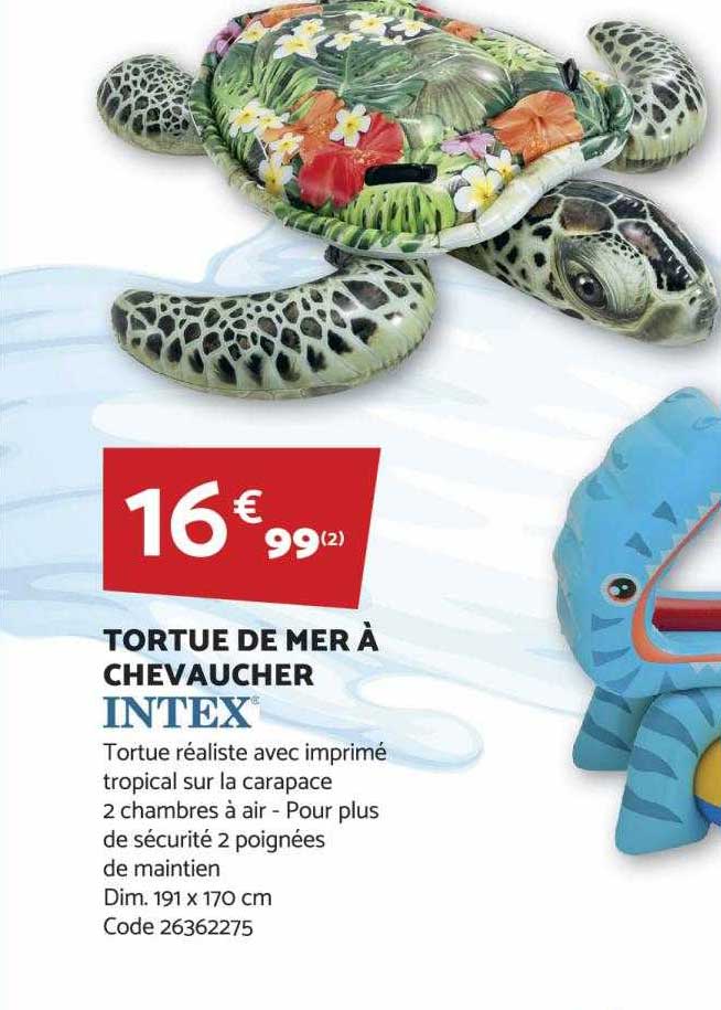 tortue de mer à chevaucher intex