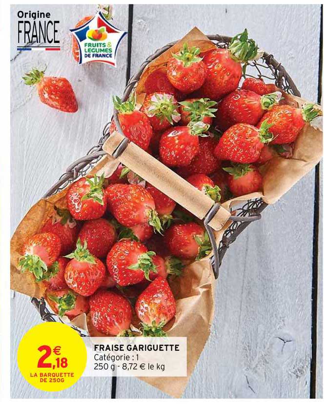 fraise gariguette