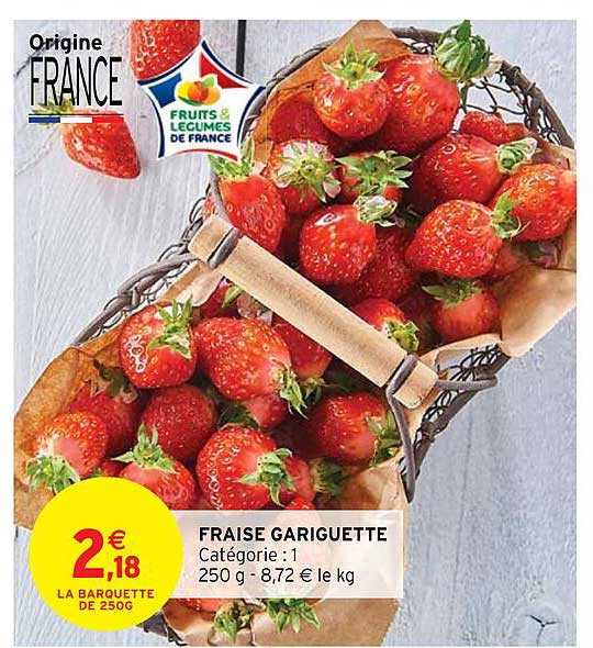 fraise gariguette