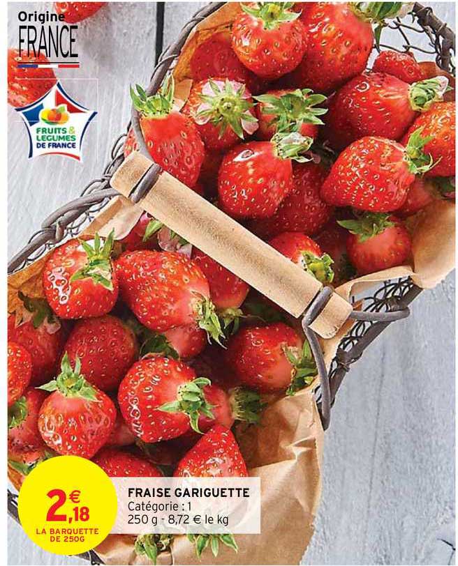 fraise gariguette