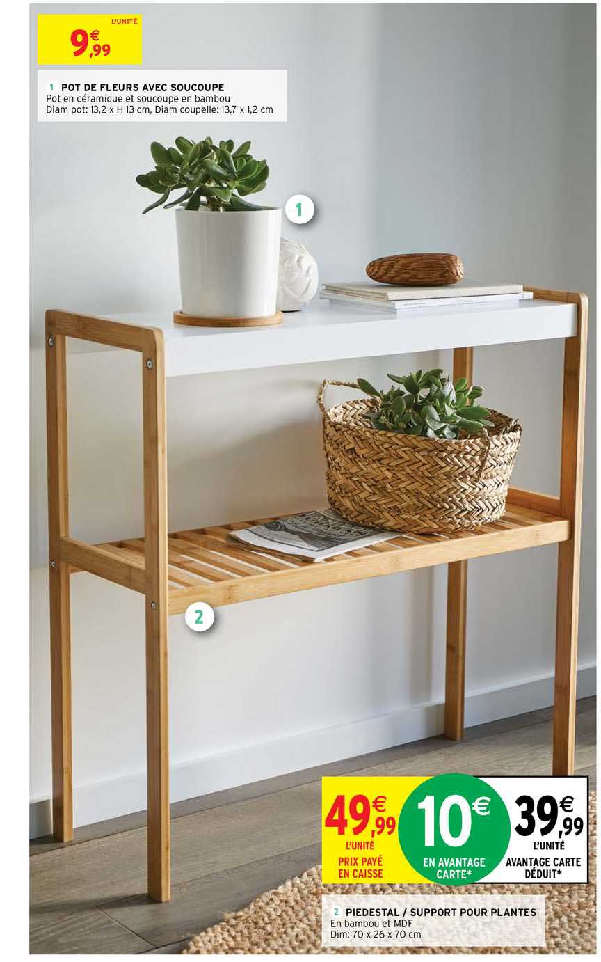 pot de fleurs avec soucoupe