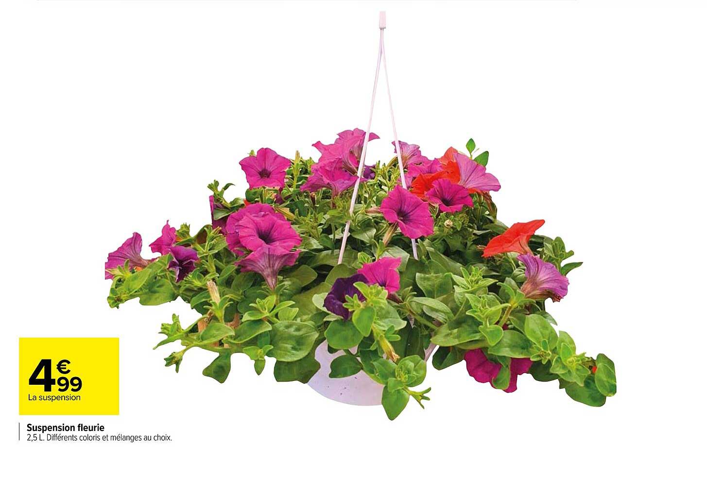 Suspension Fleurie