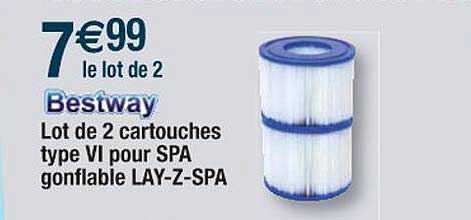 bestway lot de 2 cartouches type vi pour spa gonflable lay-z-spa