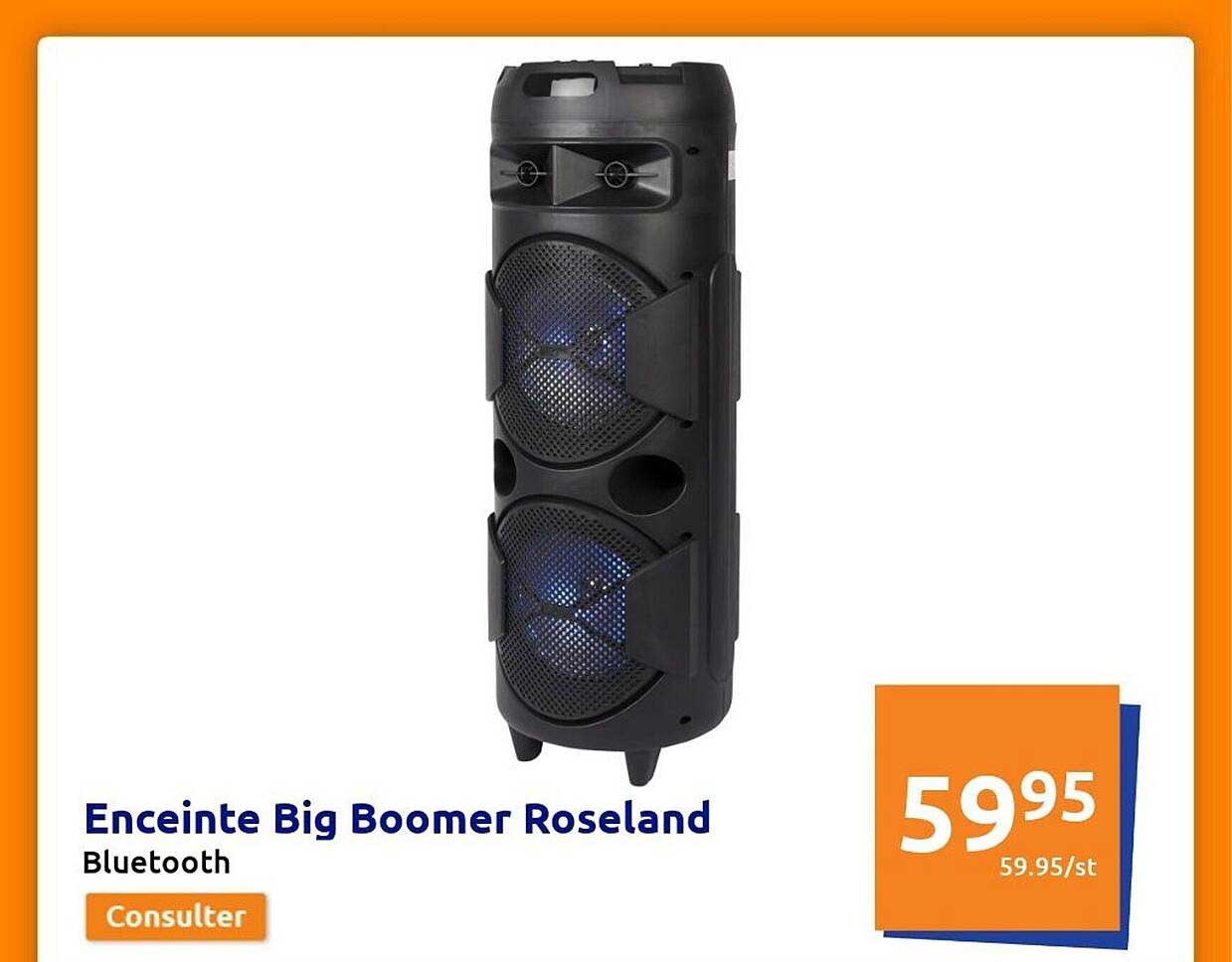 enceinte big boomer roseland