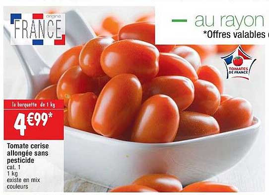 tomate cerise allongée sans pesticide