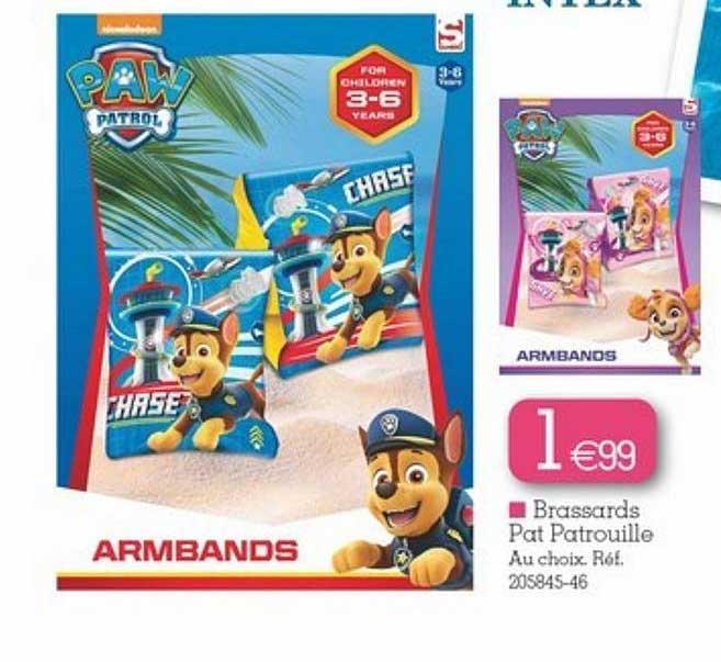 brassards pat patrouille