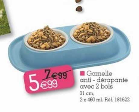 gamelle anti-dérapante avec 2 bols