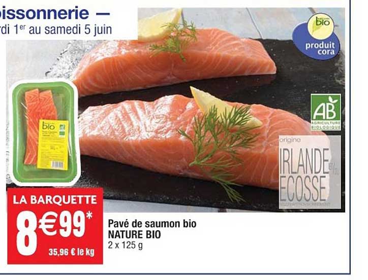 Pavé De Saumon Bio Nature Bio