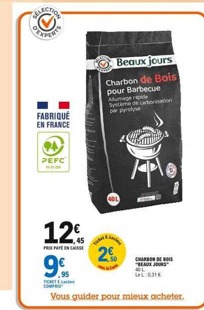 charbon de bois "beaux jours"