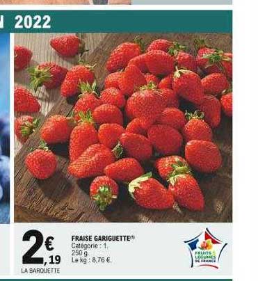 fraise gariguette