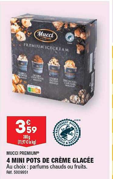 4 mini pots de crème glacée mucci premium
