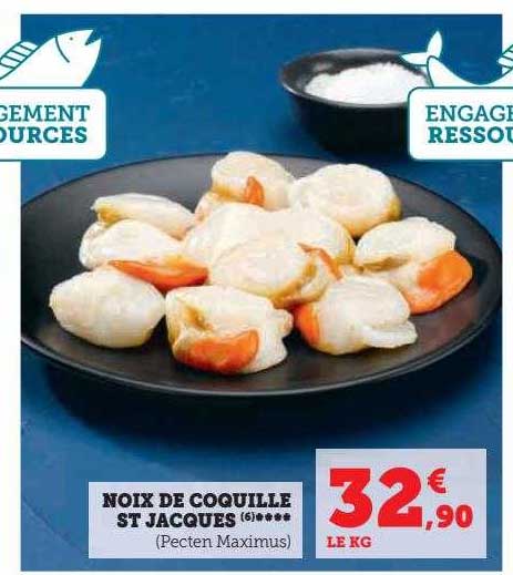 noix de coquille st jacques